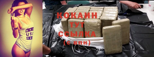 сатива Инсар