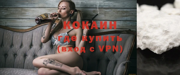 сатива Инсар