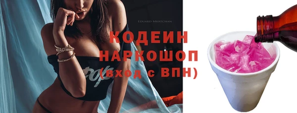 сатива Инсар