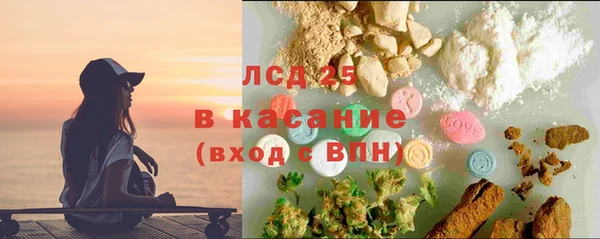 сатива Инсар