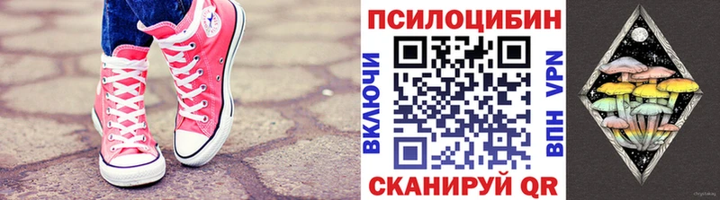 darknet состав  Канск  Галлюциногенные грибы Psilocybe  купить наркотики сайты 
