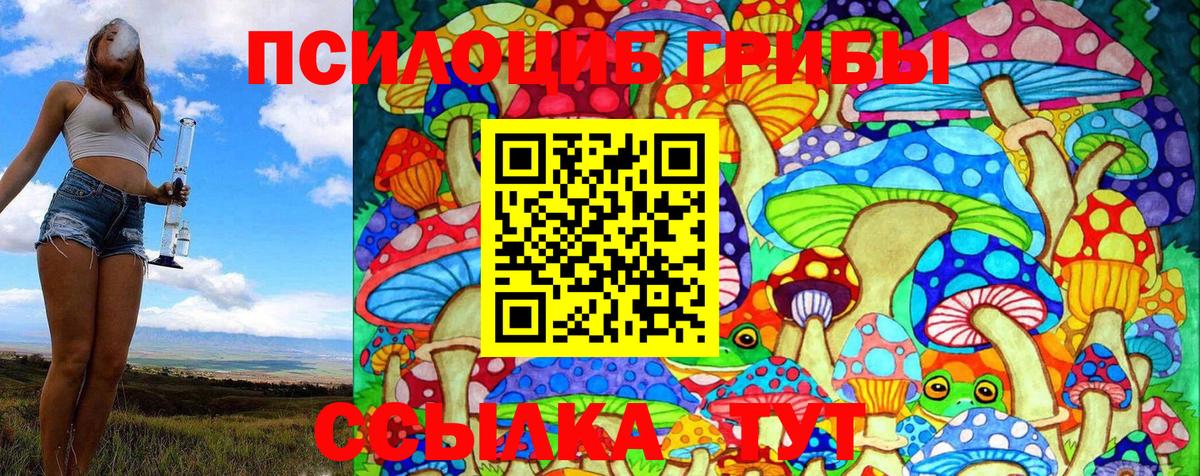 Галлюциногенные грибы MAGIC MUSHROOMS Канск