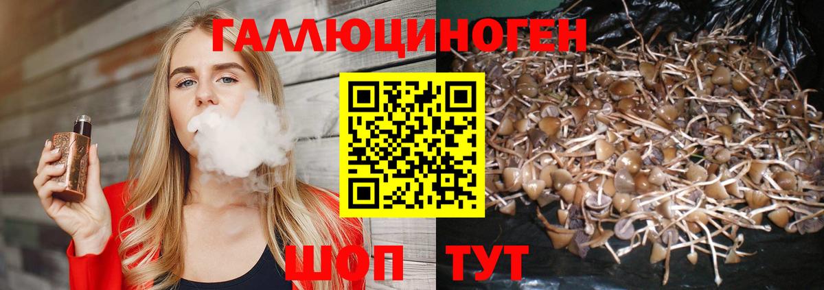закладки  Вход с VPN  Канск  Псилоцибиновые грибы мицелий 